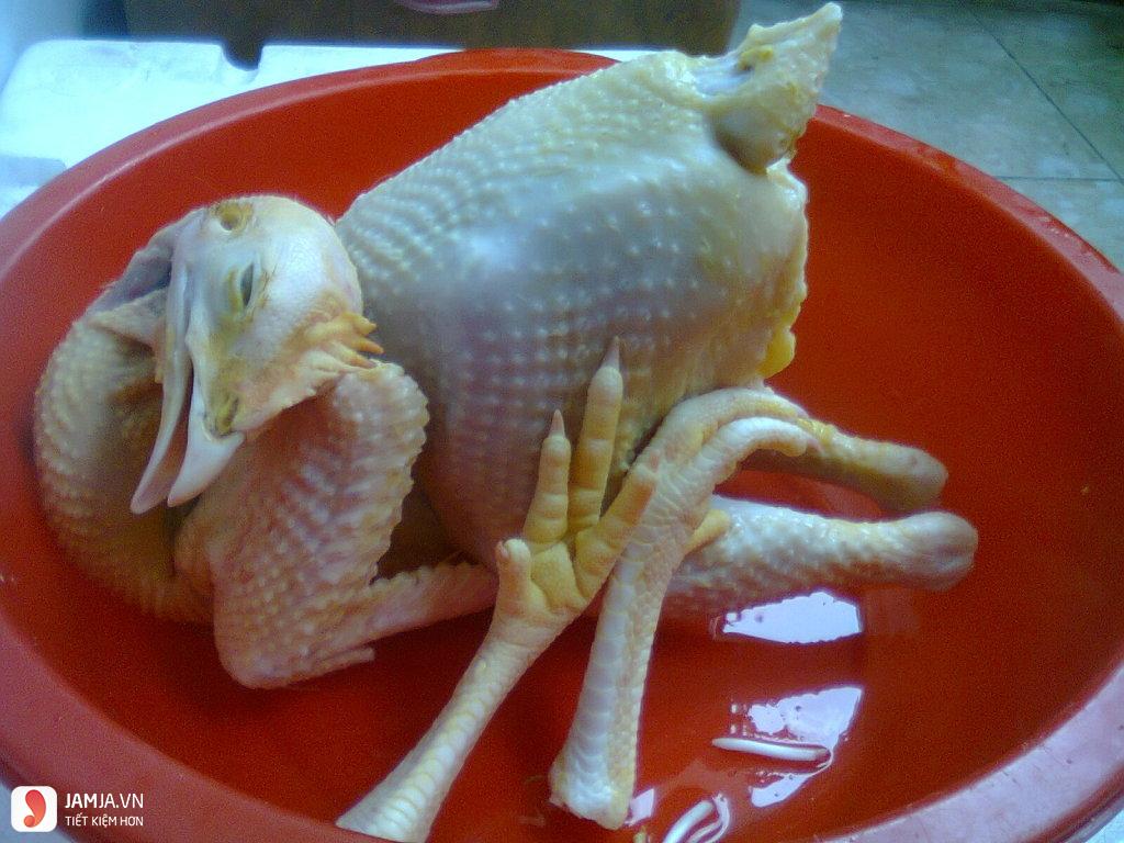 cách nấu thịt gà giả cầy-1