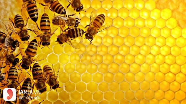 Cách làm nghệ tươi ngâm mật ong 8