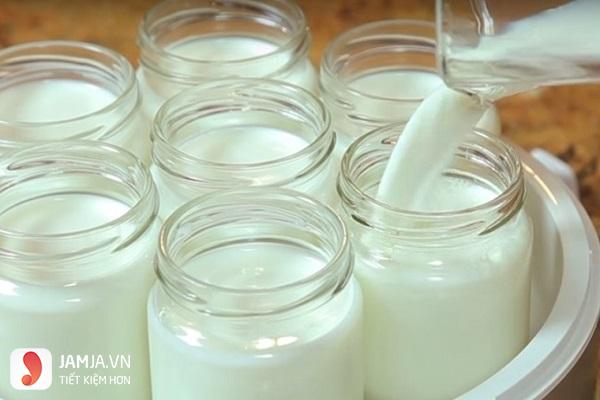 cách làm yaourt bằng sữa bò tươi - 3