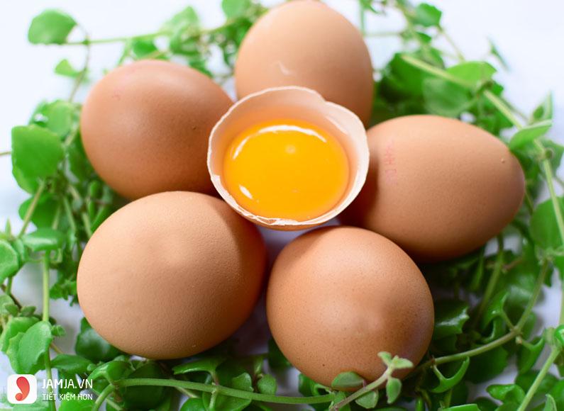Giá trị dinh dưỡng của trứng 2