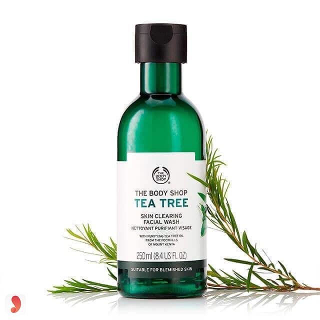 Sữa rửa mặt Tea Tree Skin Clearing Facial Wash 1