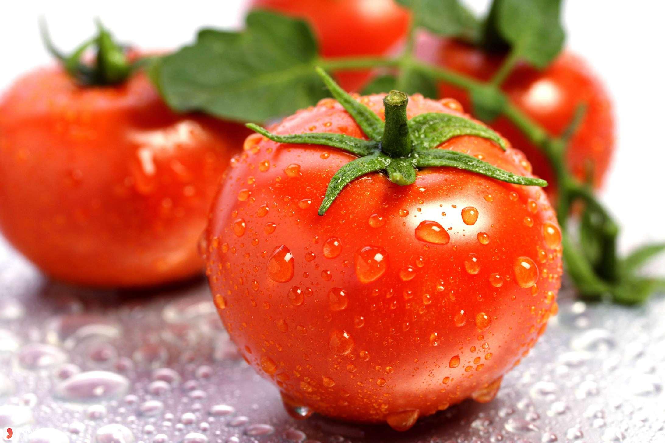 Cách chọn cà chua an toàn