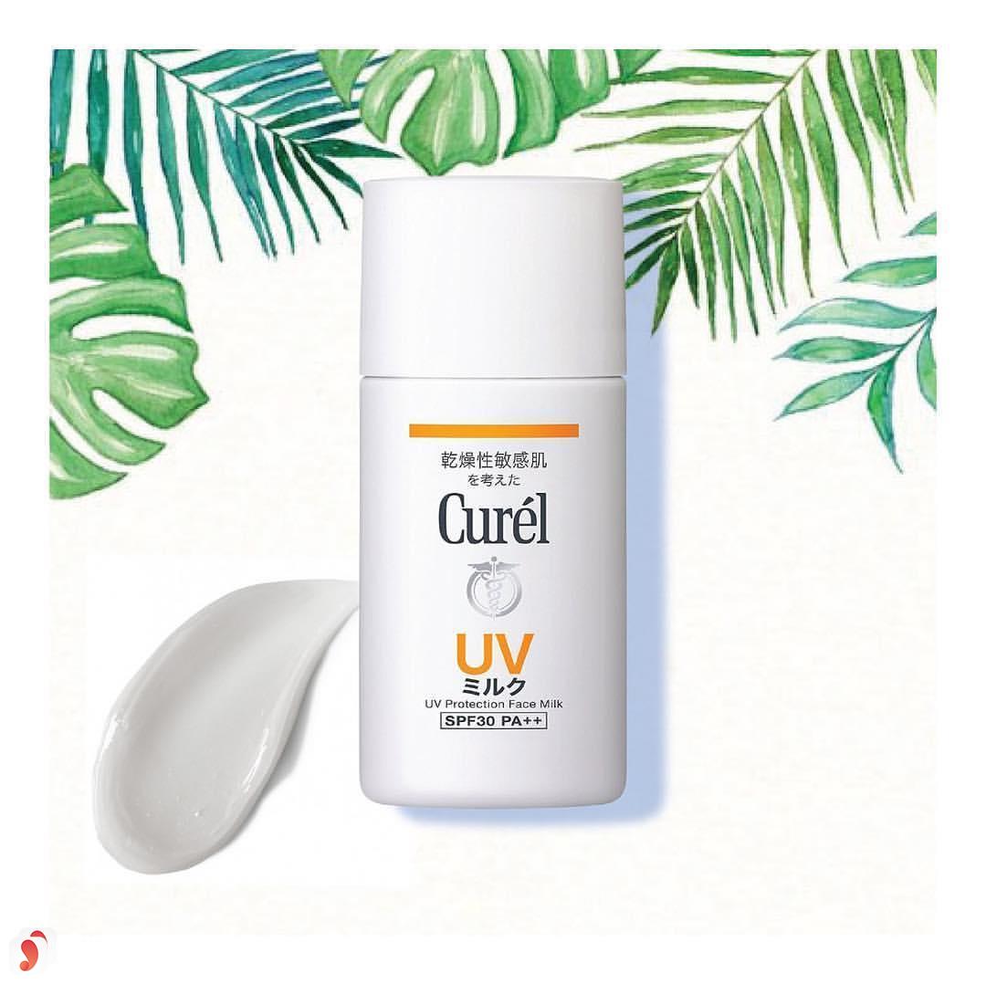thành phần Curel UV Protection Milk SPF 50+ PA +++