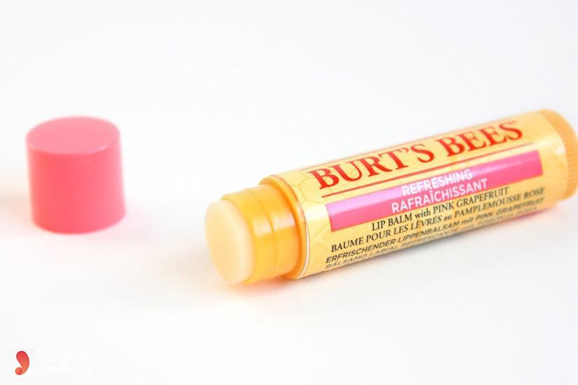 son dưỡng Burt's Bees Moisturizing Lip Balm 3