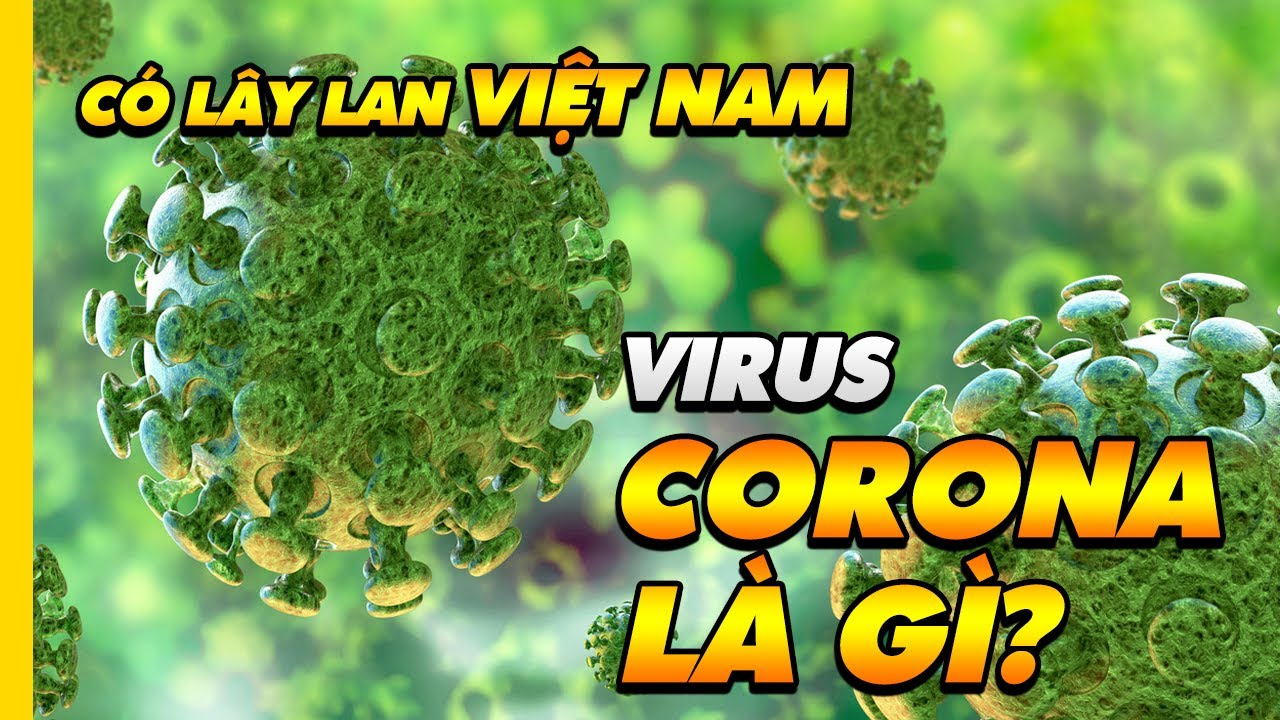Virut corona là gì